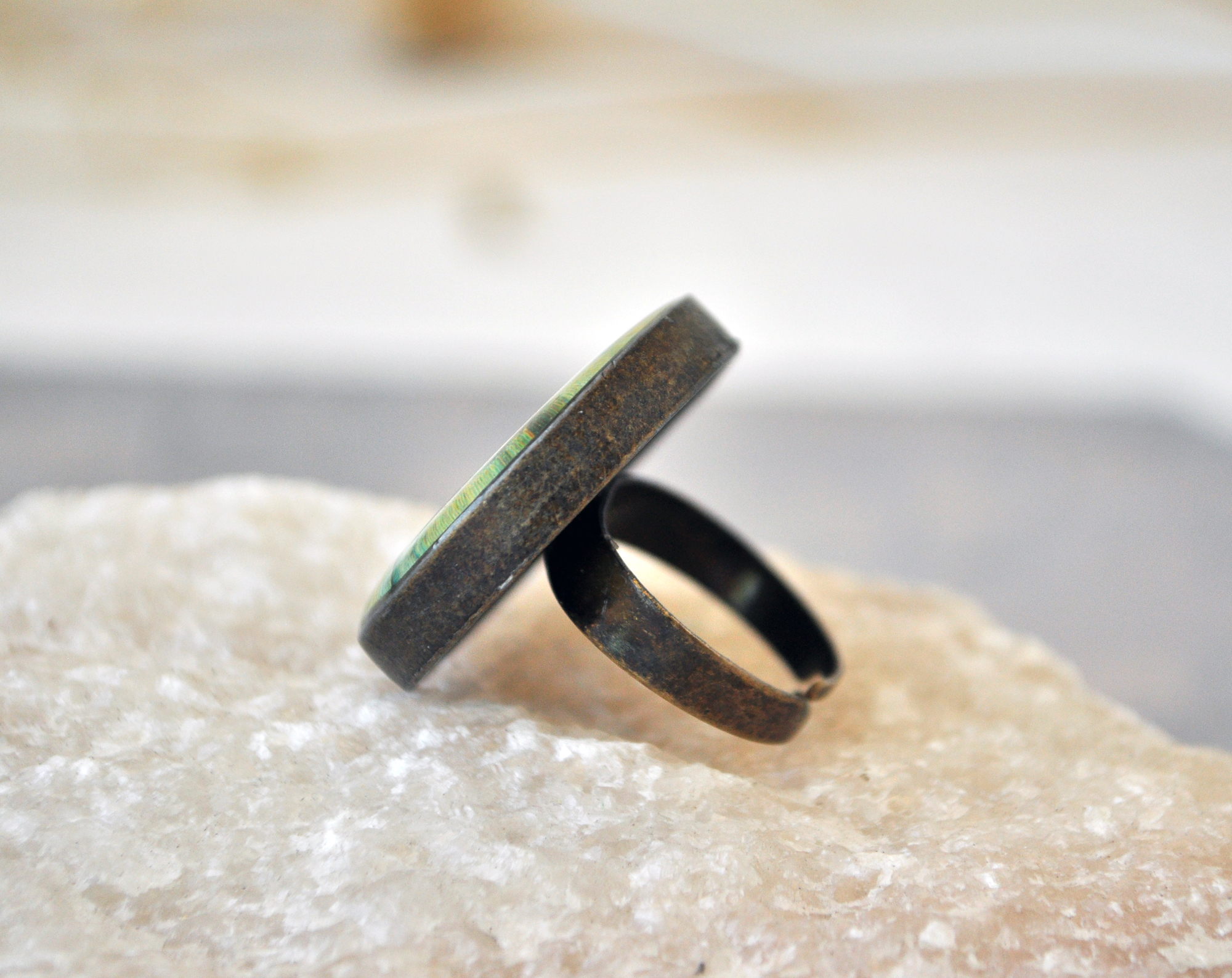 Свиристель круглое кольцо в металлической оправе ручной работы купить